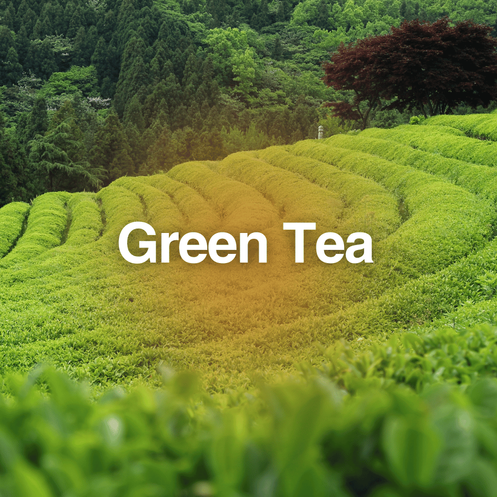 Green Tea